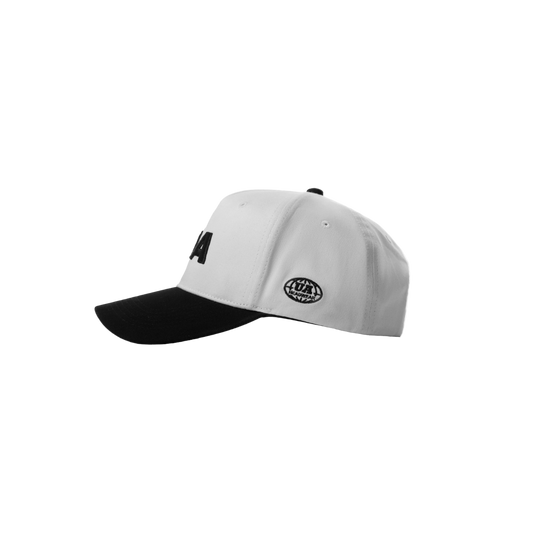 UA Panda snapback PNG front