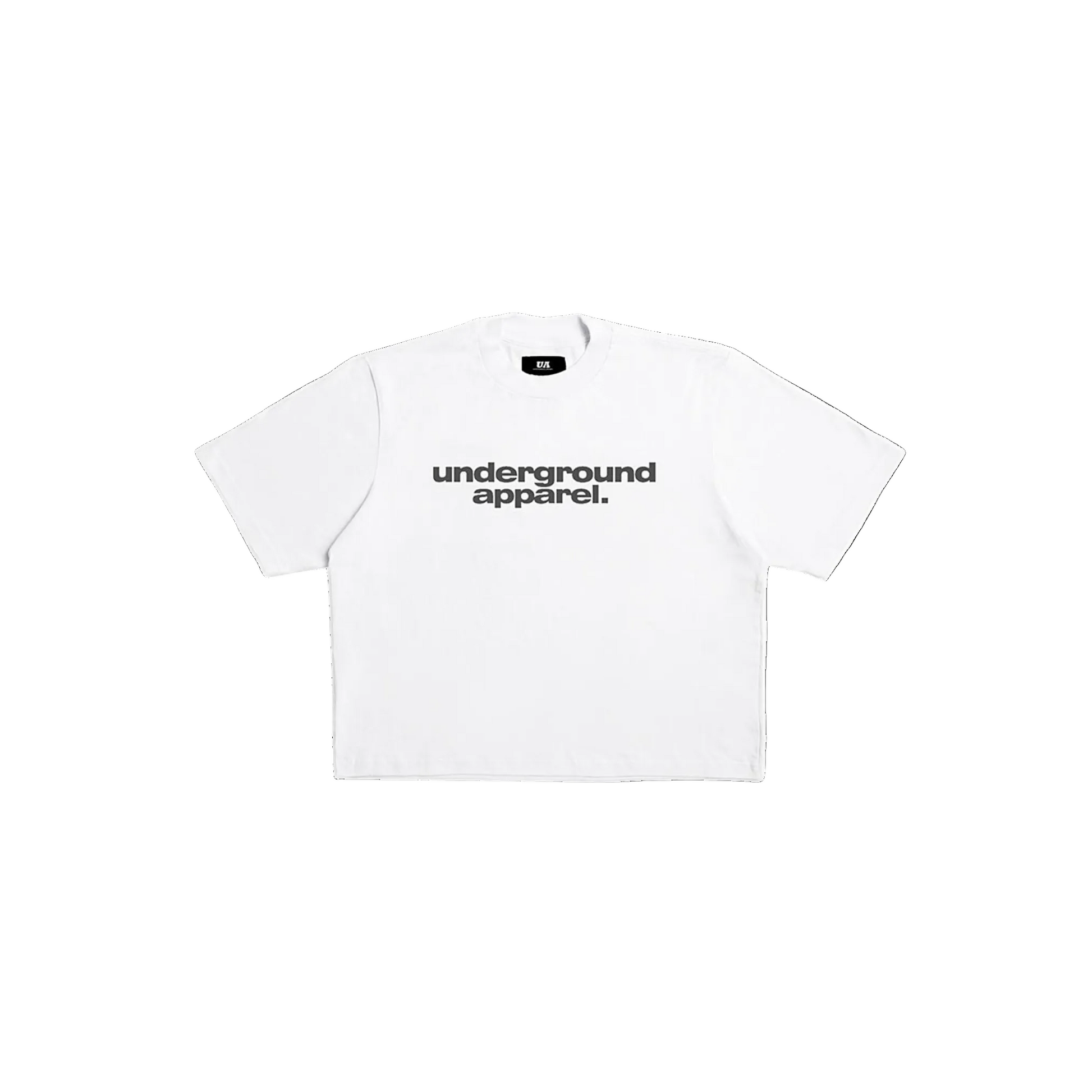 UA Box Tee streetwear variant