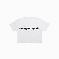 UA One Linear tee variant 2