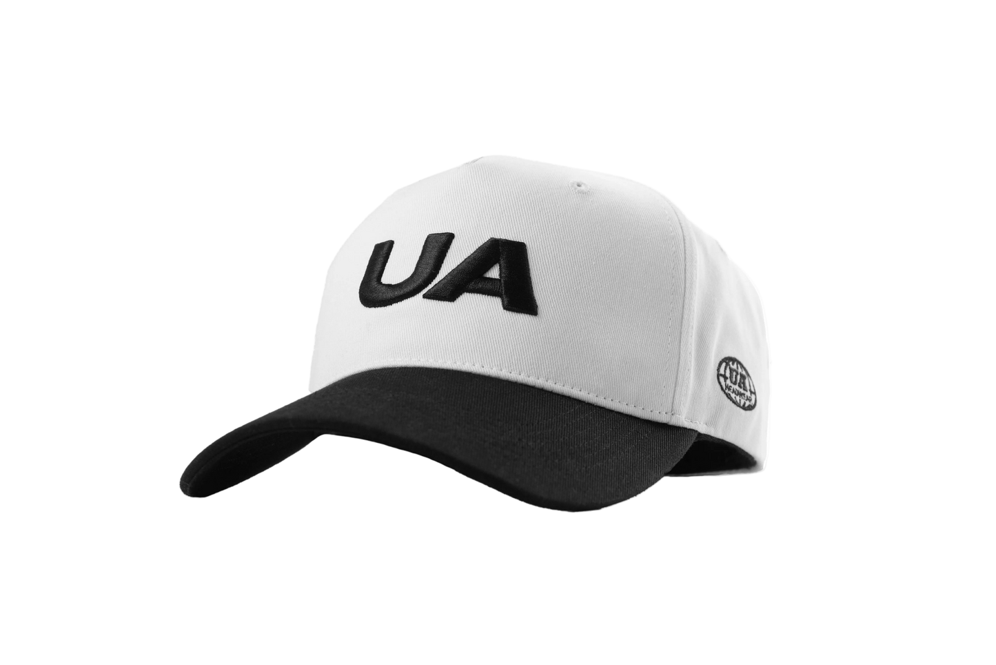 UA Panda snapback PNG alternate