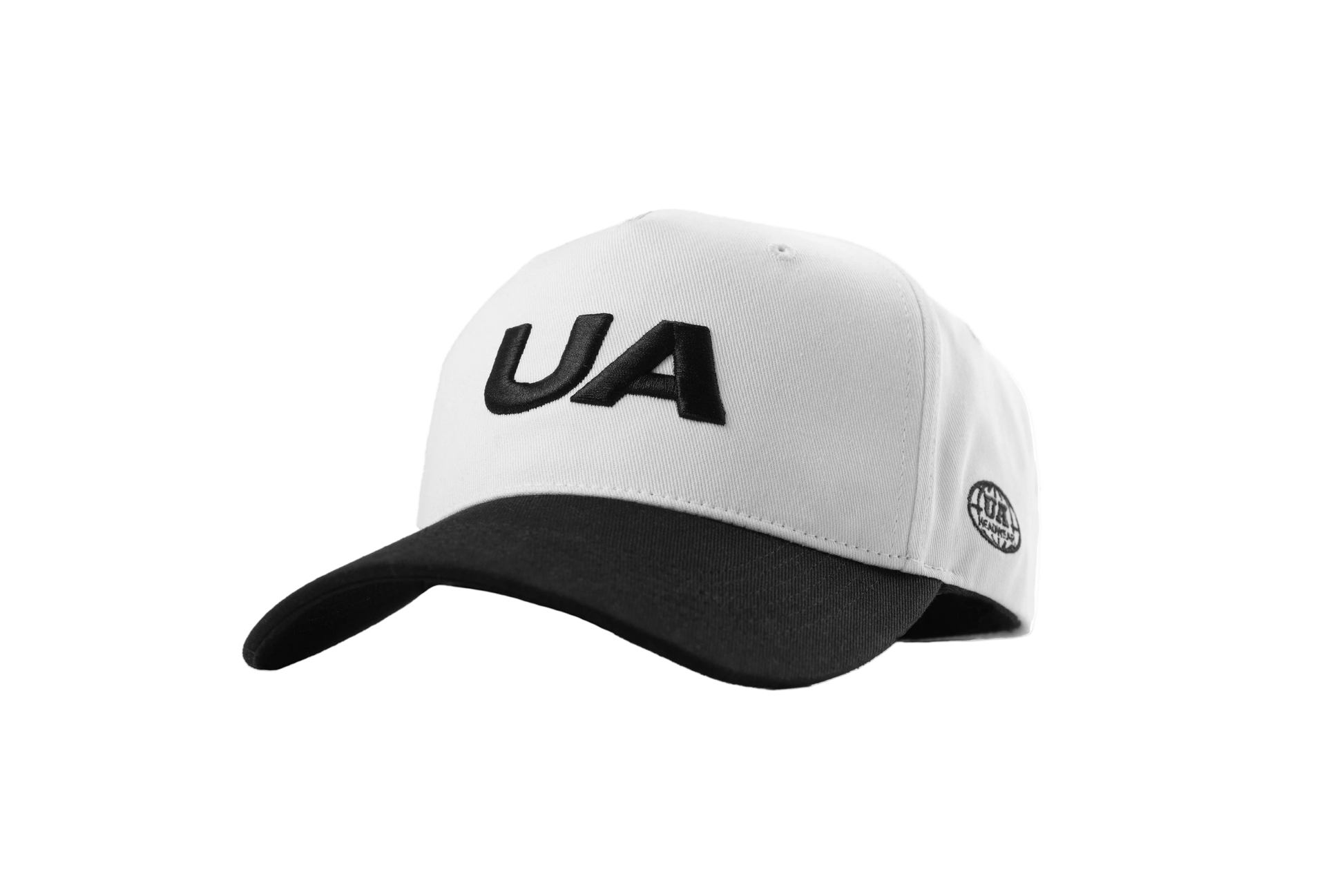 UA Panda snapback PNG alternate