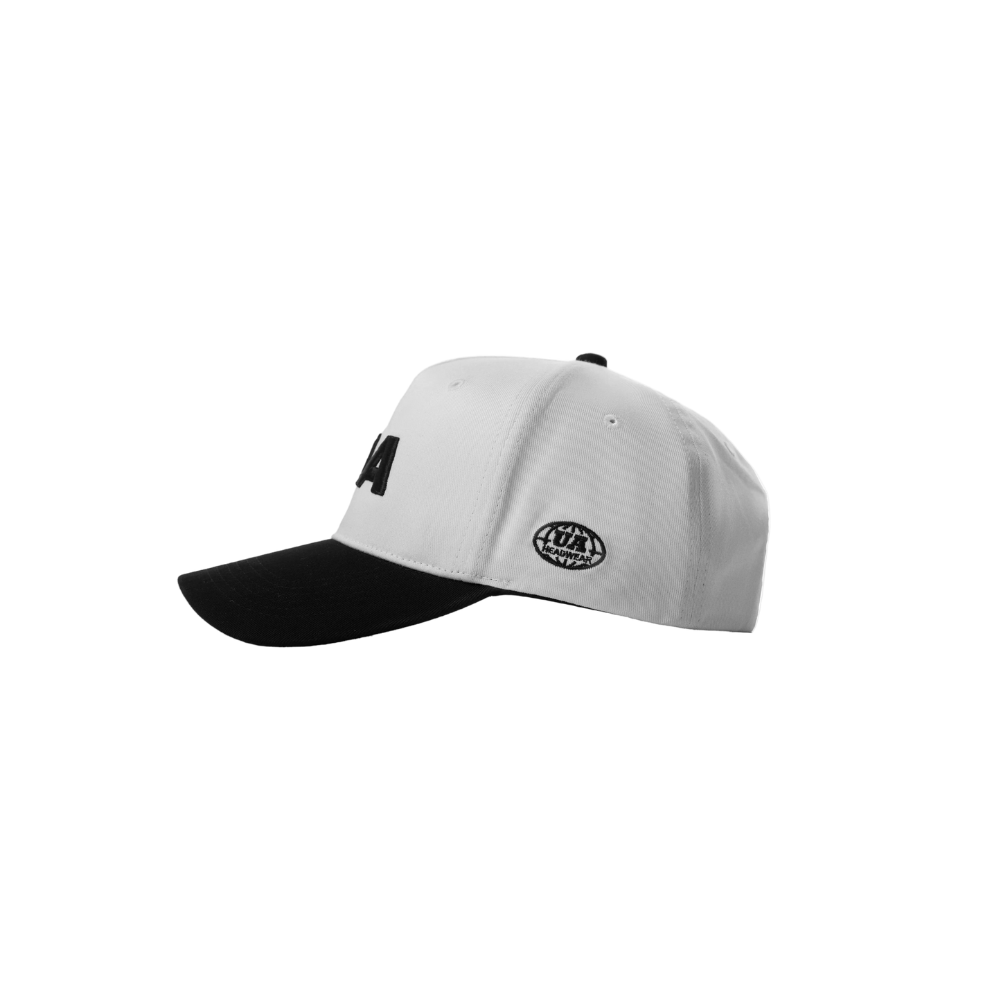 UA Panda snapback PNG front