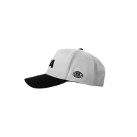 UA Panda snapback PNG front